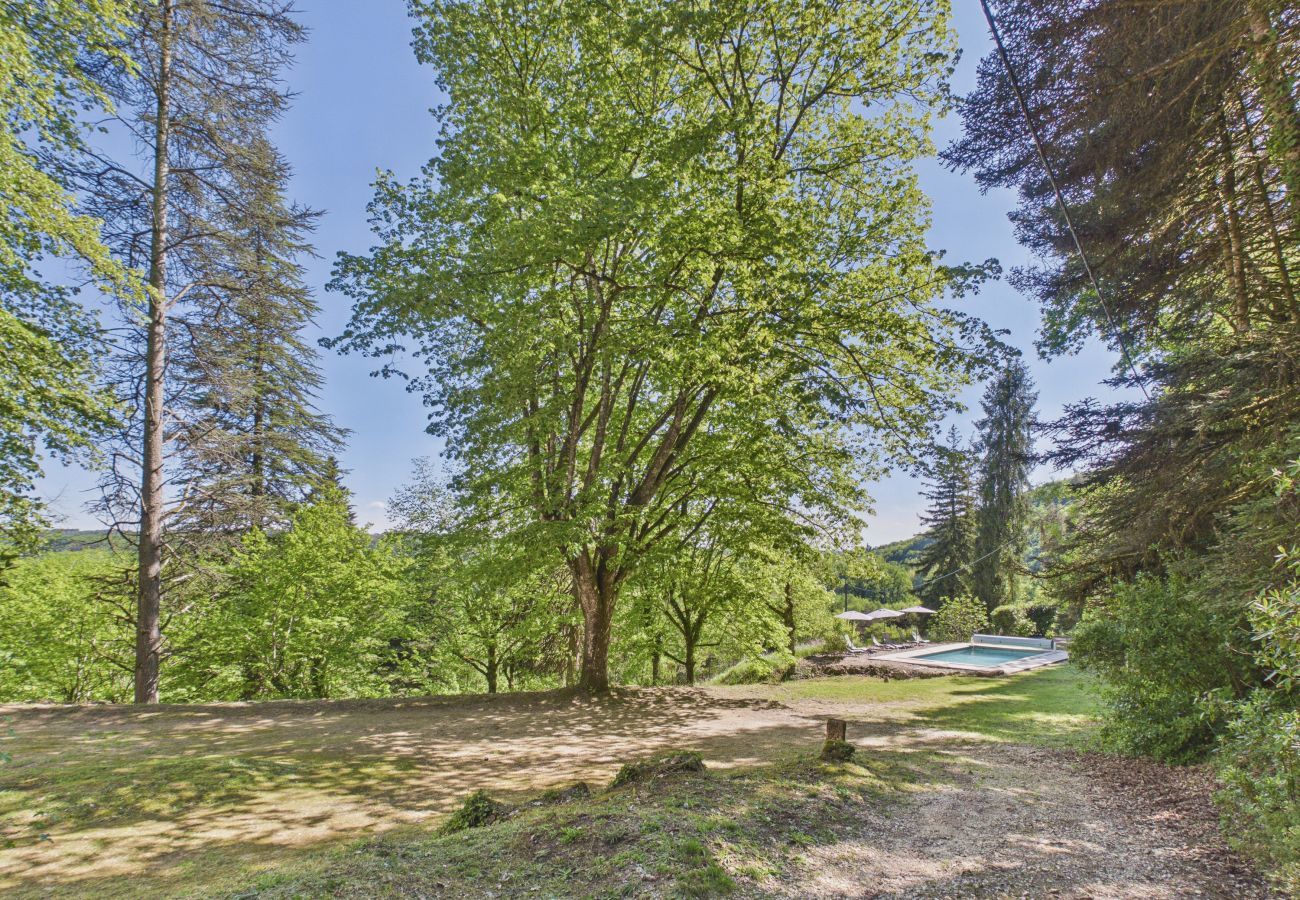 House in Saint-Léon-sur-Vézère - Manor with Terrace and Pool for 10 Guests