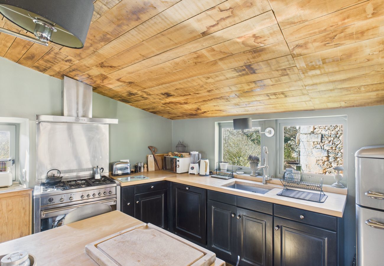 House in Les Eyzies-de-Tayac-Sireuil - Valley View – Large house for 10 – Pool