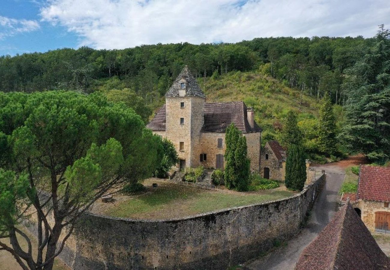 House in Saint-Cyprien - Magnificent 16th manor with private pool for 10 