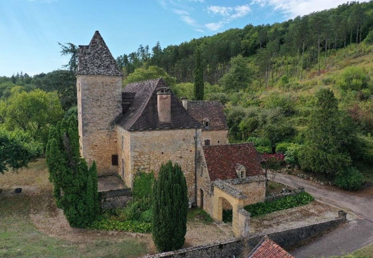 House in Saint-Cyprien - Magnificent 16th manor with private pool for 10 