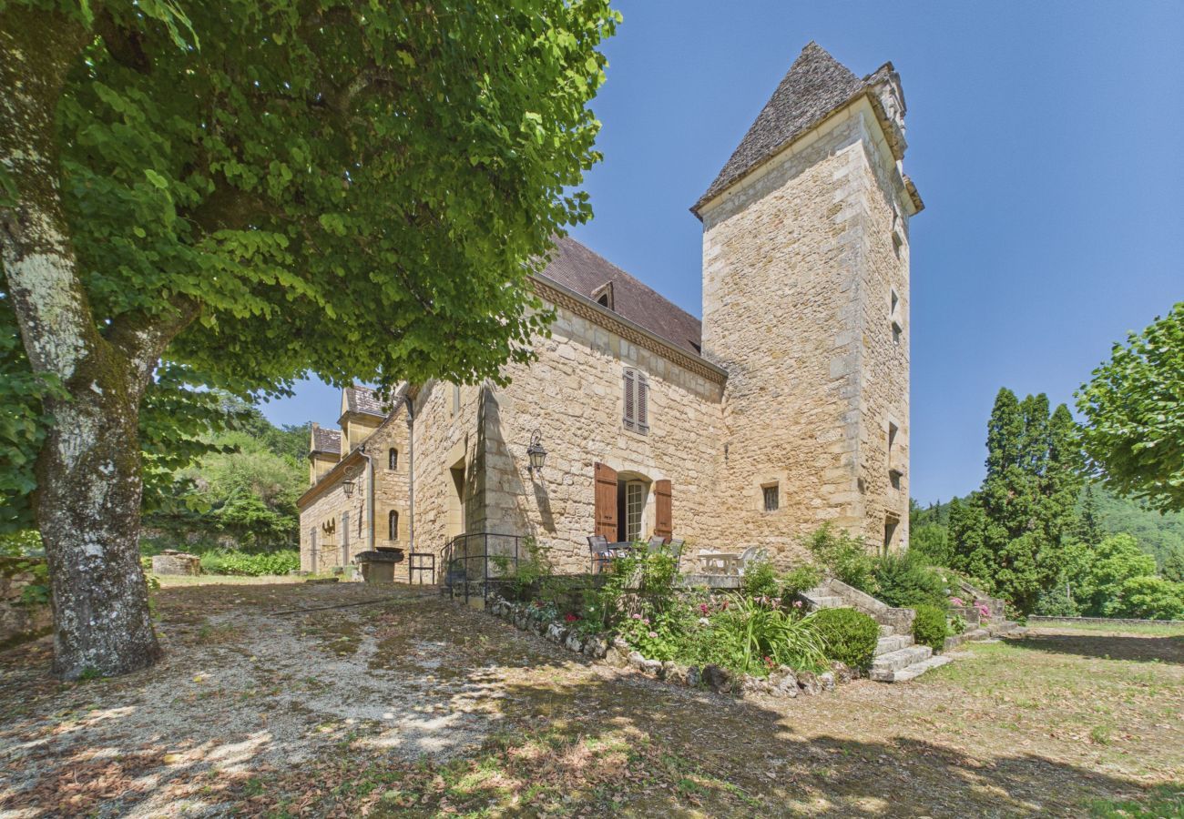 House in Saint-Cyprien - Magnificent 16th manor with private pool for 10 