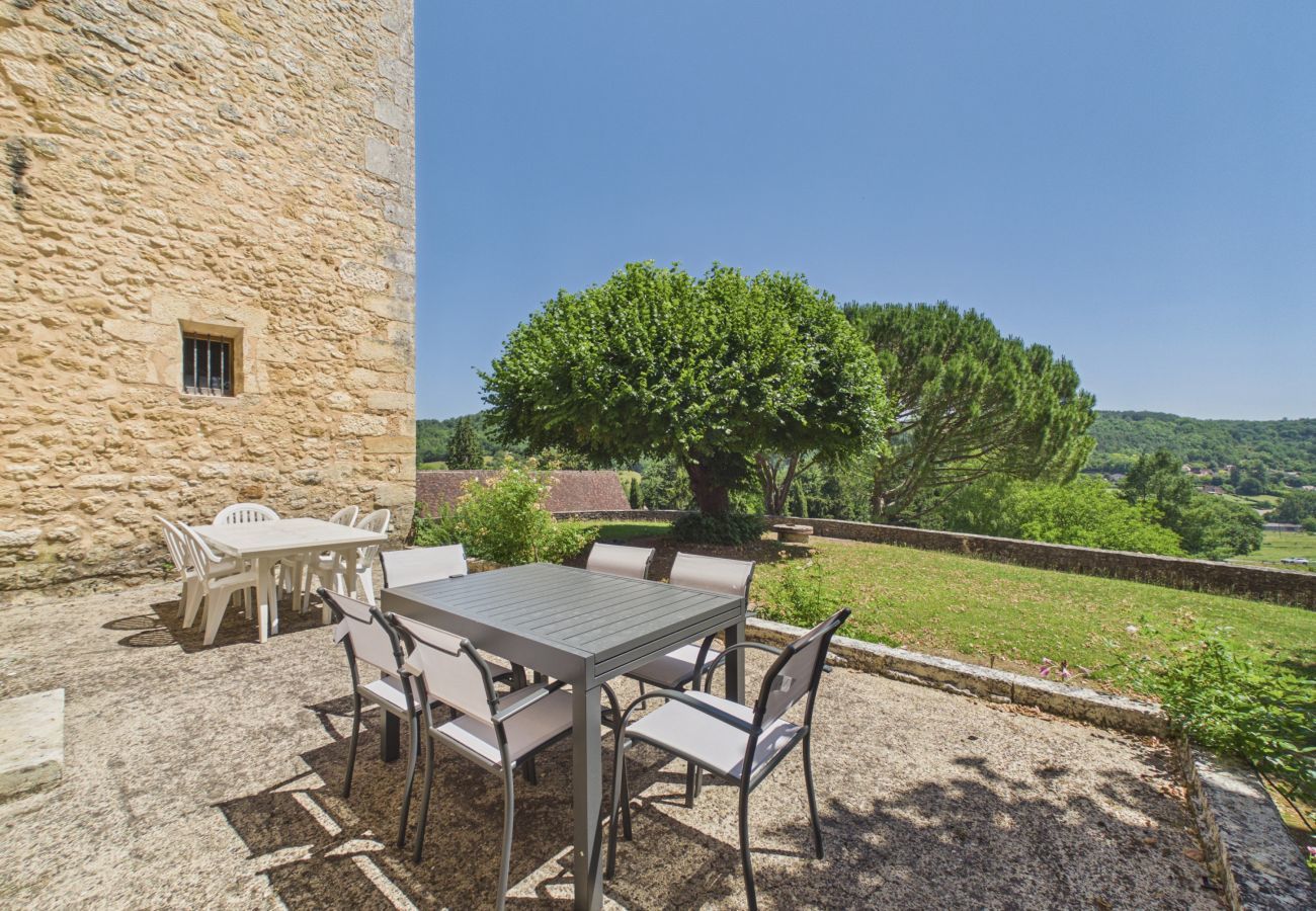 House in Saint-Cyprien - Magnificent 16th manor with private pool for 10 