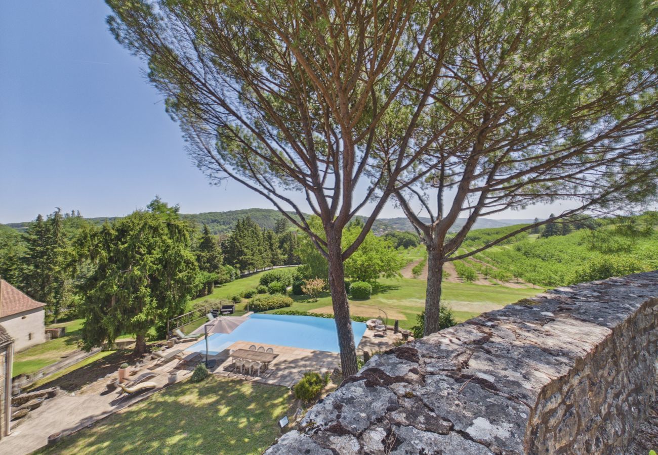 House in Saint-Cyprien - Magnificent 16th manor with private pool for 10 