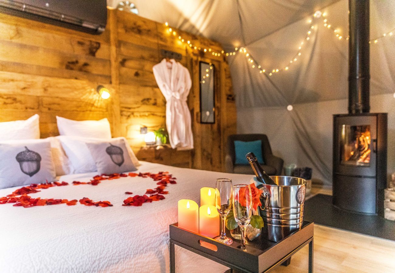 Bungalow in La Dornac - 