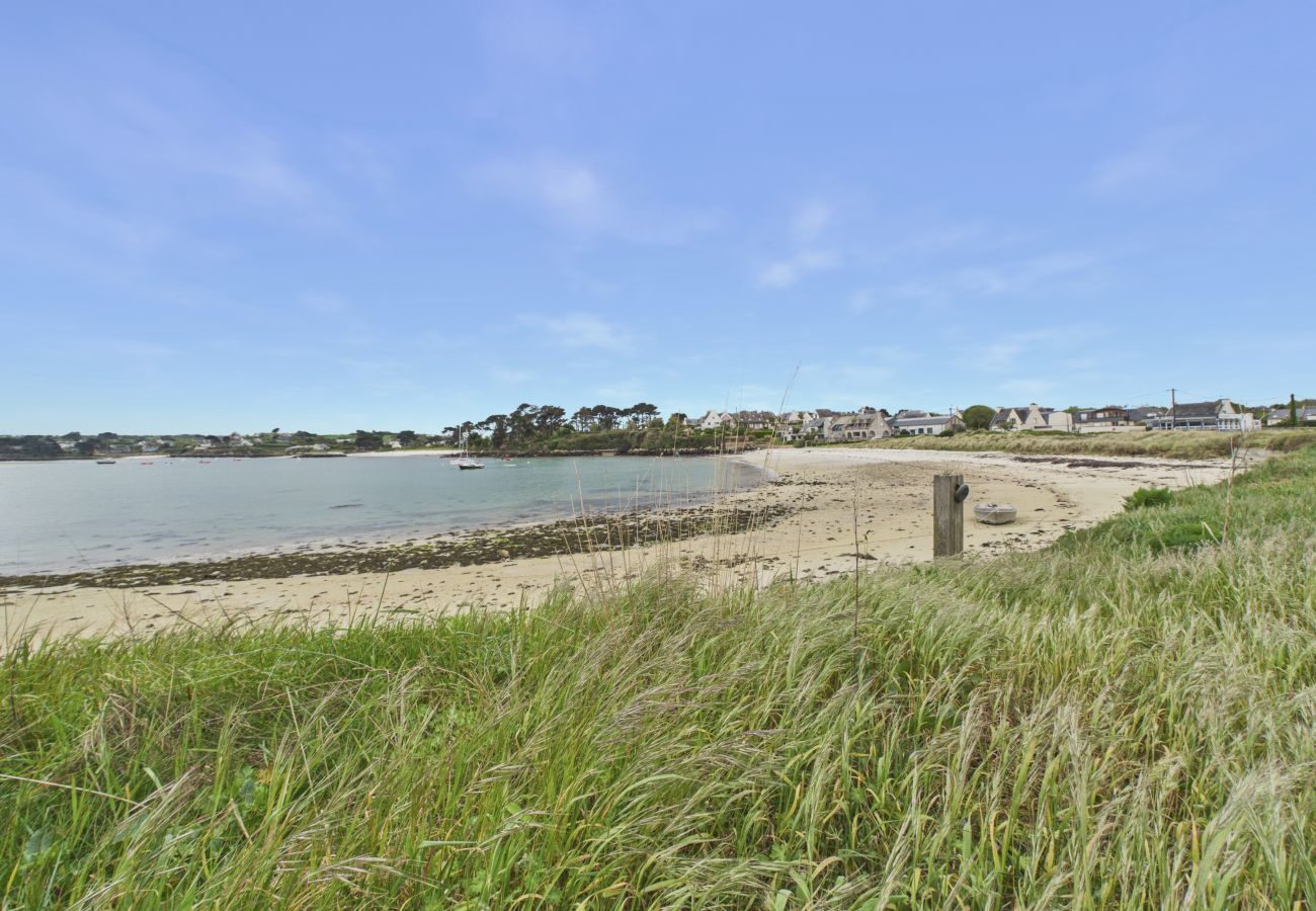 Apartment in Plouguerneau - 50 m from the beach - Apartment with terrace for 2