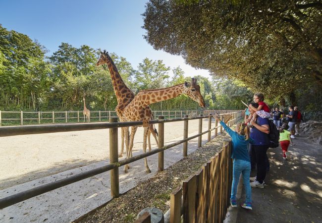 Estudio en Les Sables-d´Olonne - Apartamento para 2 distrito de La Chaume Estudio en Les Sables-d´Olonne - Apartamento para 2 distrito de La Chaume