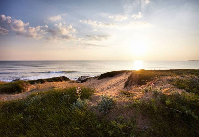 Casa en Saint-Gilles-Croix-de-Vie - Jacuzzi, terraza, casa en el centro para 4 Casa en Saint-Gilles-Croix-de-Vie - Jacuzzi, terraza, casa en el centro para 4