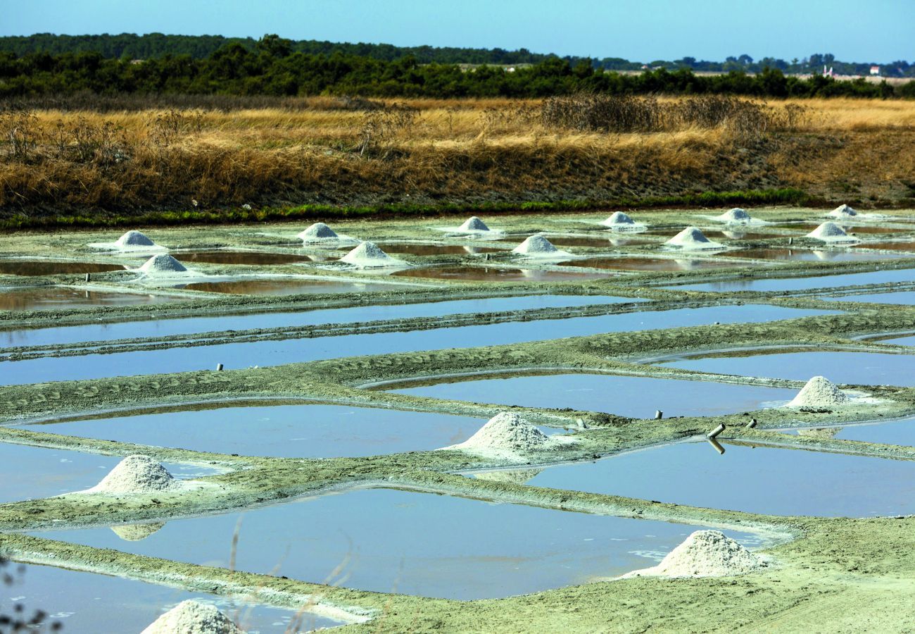 Casa en La Flotte - Bonita casa en una residencia con piscina para 5