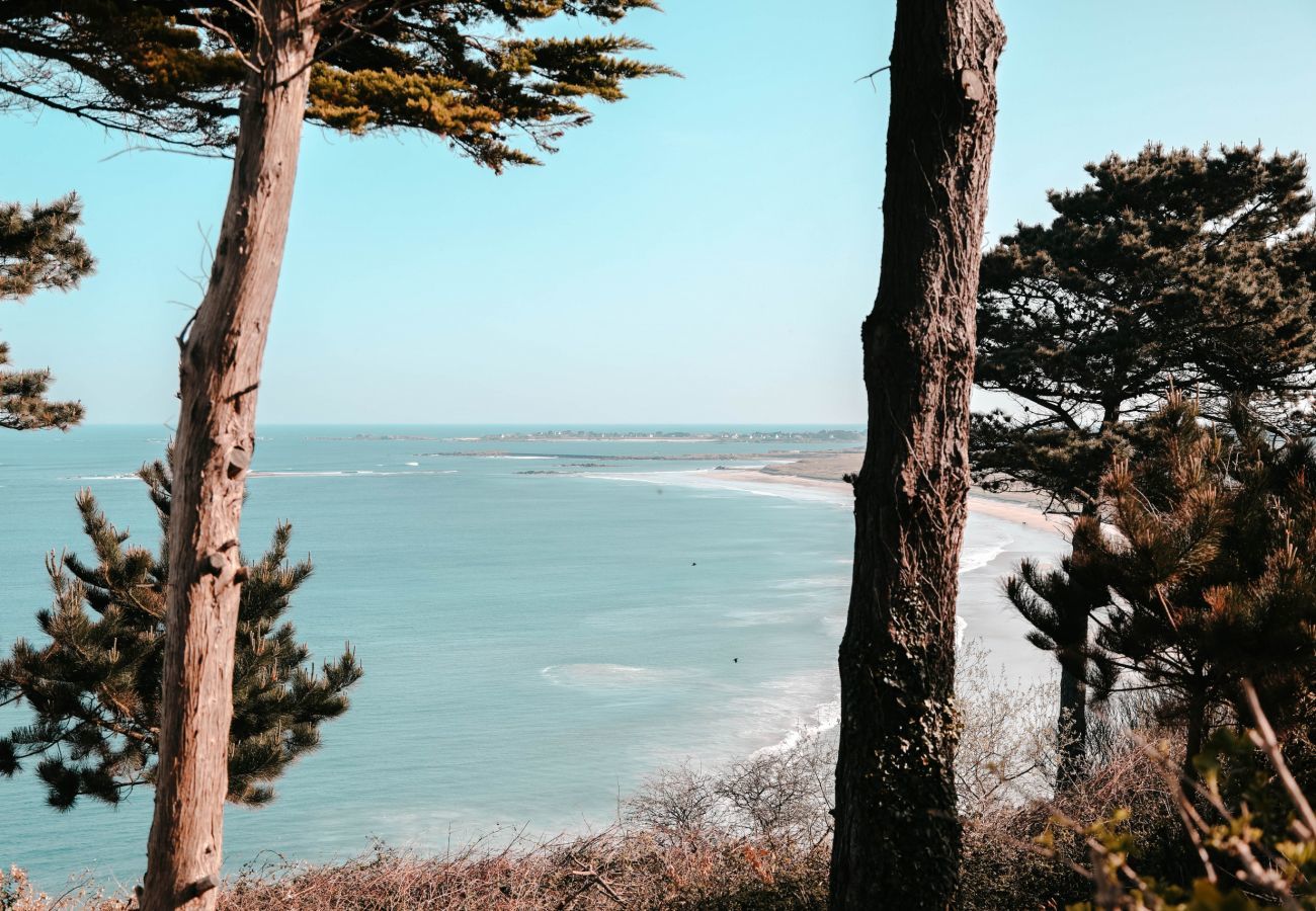 Apartamento en Plouguerneau - Terraza con vistas al mar para 2 en Plouguerneau