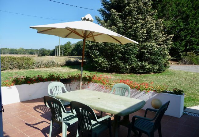 Maison mitoyenne à Commequiers - Séjour à la campagne pour 6  Maison mitoyenne à Commequiers - Séjour à la campagne pour 6