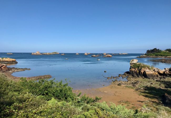 Maison à Ile de Bréhat -  Maison à Ile de Bréhat -