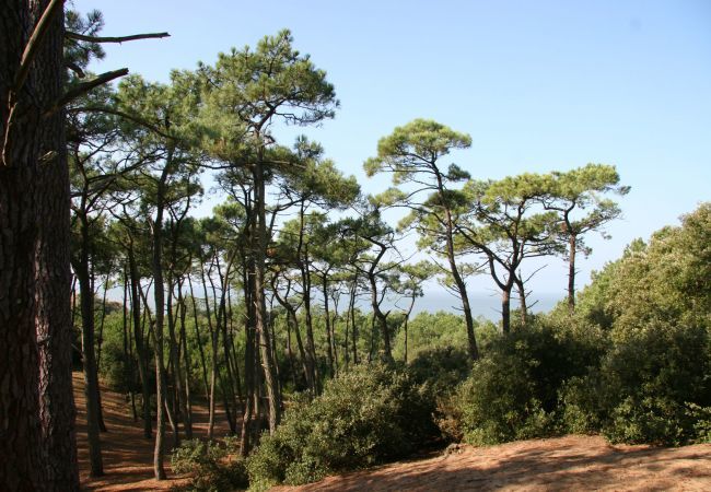 Maison à Saint-Brevin-les-Pins - Brévinoise pour 6 personnes à 100m de la plage Maison à Saint-Brevin-les-Pins - Brévinoise pour 6 personnes à 100m de la plage