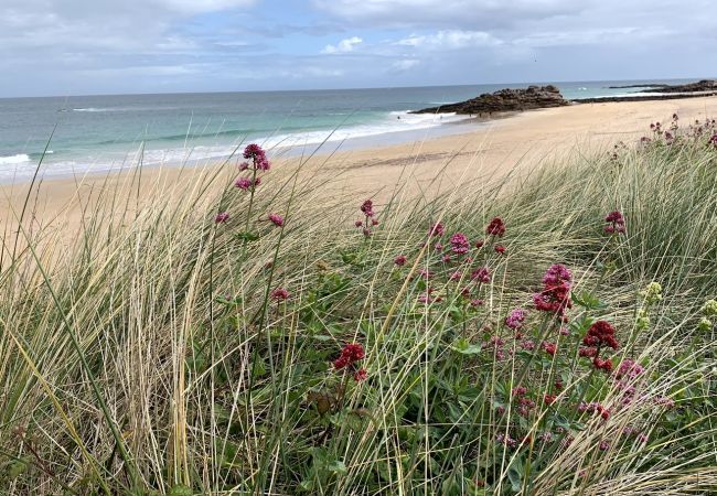Maison à Erquy - Maison pour 6 à Erquy - Piscine collective Maison à Erquy - Maison pour 6 à Erquy - Piscine collective
