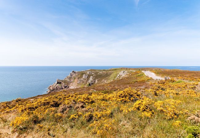 Appartement à Erquy - Face mer à 85m plage - appart 2 adultes 2 enfants Appartement à Erquy - Face mer à 85m plage - appart 2 adultes 2 enfants