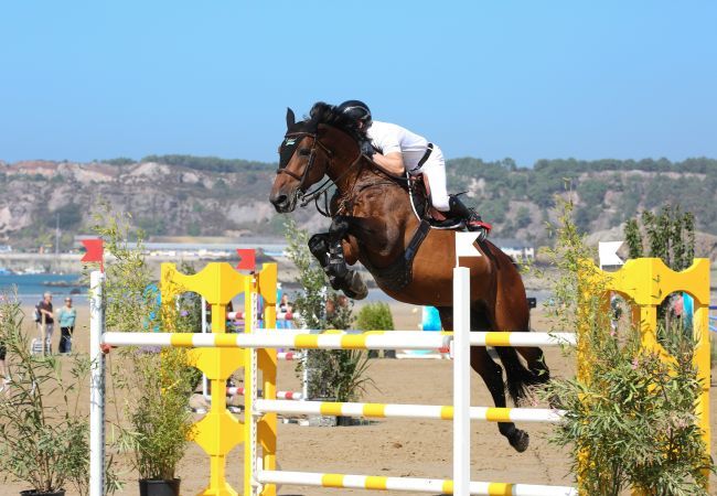 Appartement à Erquy - 130m plage de Carcoual - Erquy- Appart pour 4 Appartement à Erquy - 130m plage de Carcoual - Erquy- Appart pour 4