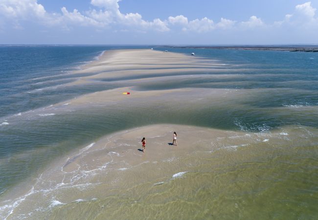 Maison à Andernos-les-Bains - Maison pour 10 - jardin - 600 m de la plage  Maison à Andernos-les-Bains - Maison pour 10 - jardin - 600 m de la plage