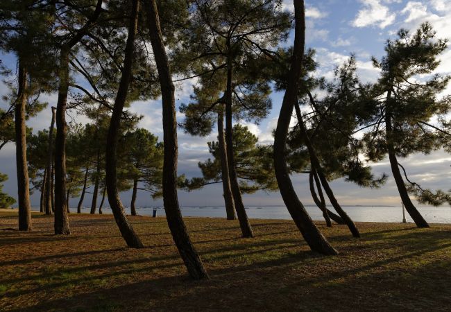 Maison à Andernos-les-Bains - 300m plage- Bassin d'Arcachon- Maison pour 6 Maison à Andernos-les-Bains - 300m plage- Bassin d'Arcachon- Maison pour 6