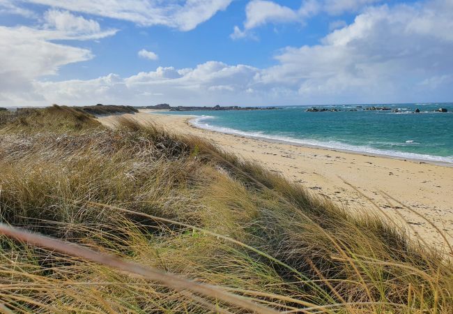 Maison à Guissény - Jolie maison en pierre avec  jardin arboré pour 6 Maison à Guissény - Jolie maison en pierre avec  jardin arboré pour 6