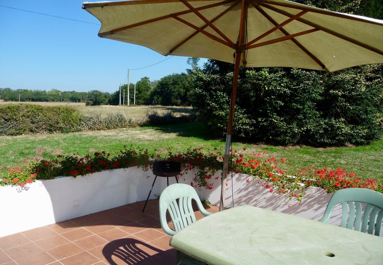 Maison mitoyenne à Commequiers - Séjour à la campagne pour 6 avec piscine