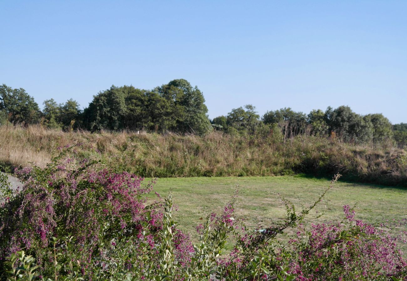 Maison mitoyenne à Commequiers - Maison pour 4 à la campagne avec piscine