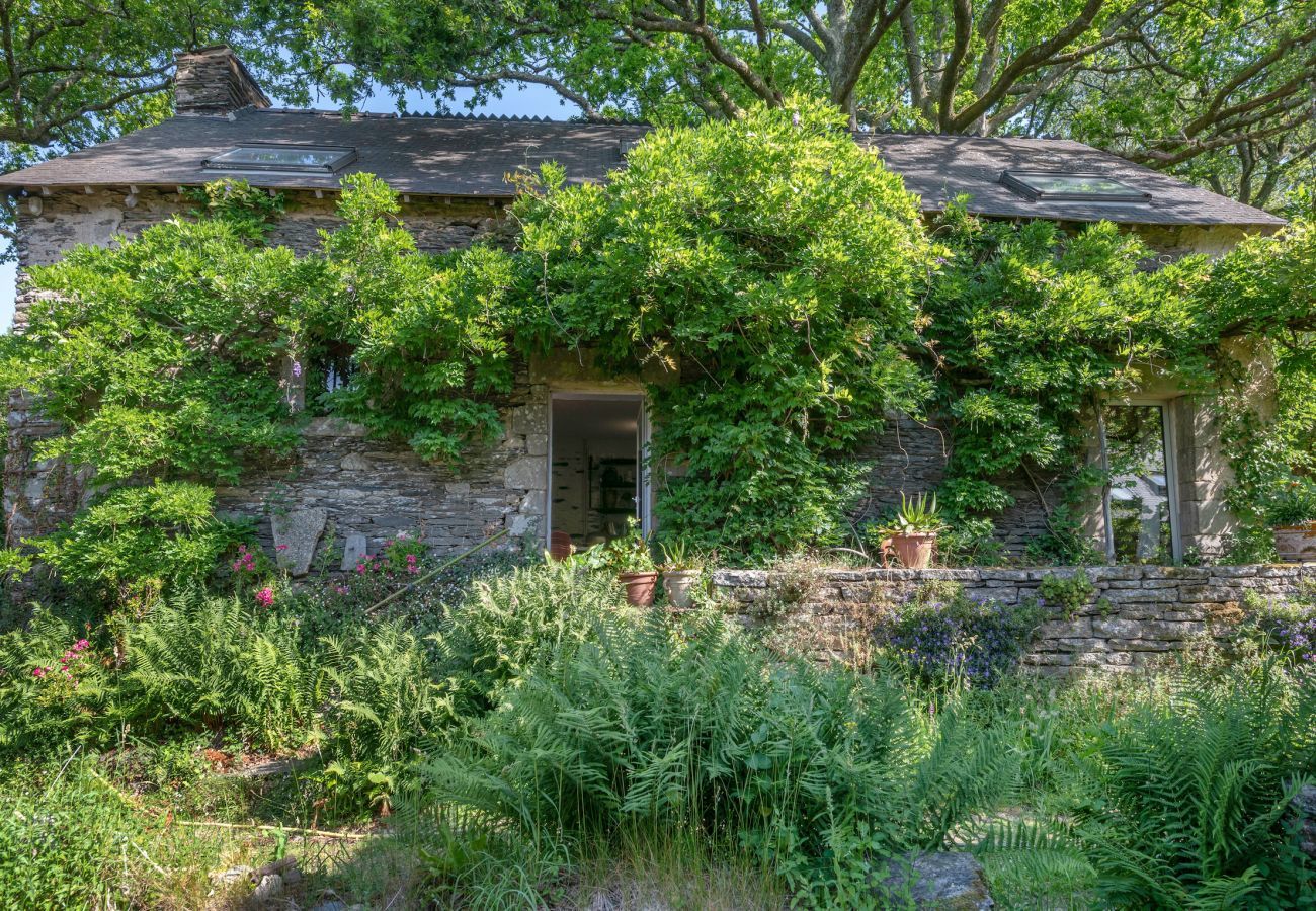 Maison à Rochefort-en-Terre - Gîte typique pour 6 à Rochefort-en-terre