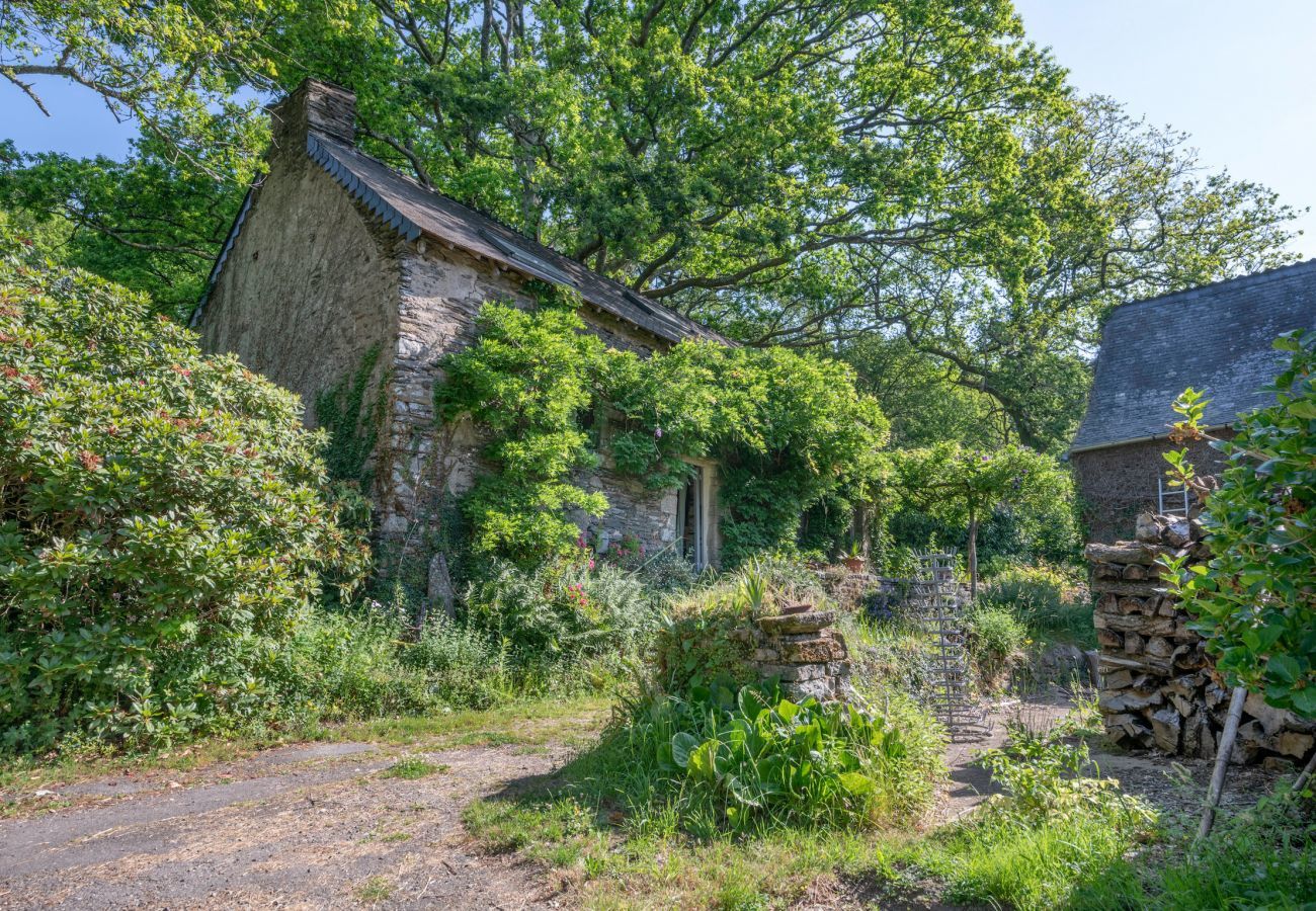 Maison à Rochefort-en-Terre - Gîte typique pour 6 à Rochefort-en-terre