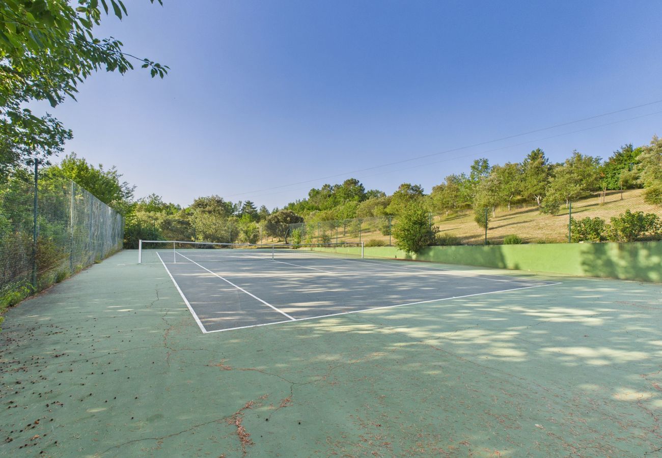 Maison à La Chapelle-Aubareil - Grande maison pour 15 avec piscine et tennis
