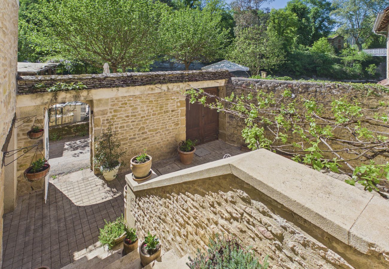 Maison à Saint-Léon-sur-Vézère - Maison en pierre au pied de La Vézère, pour 6