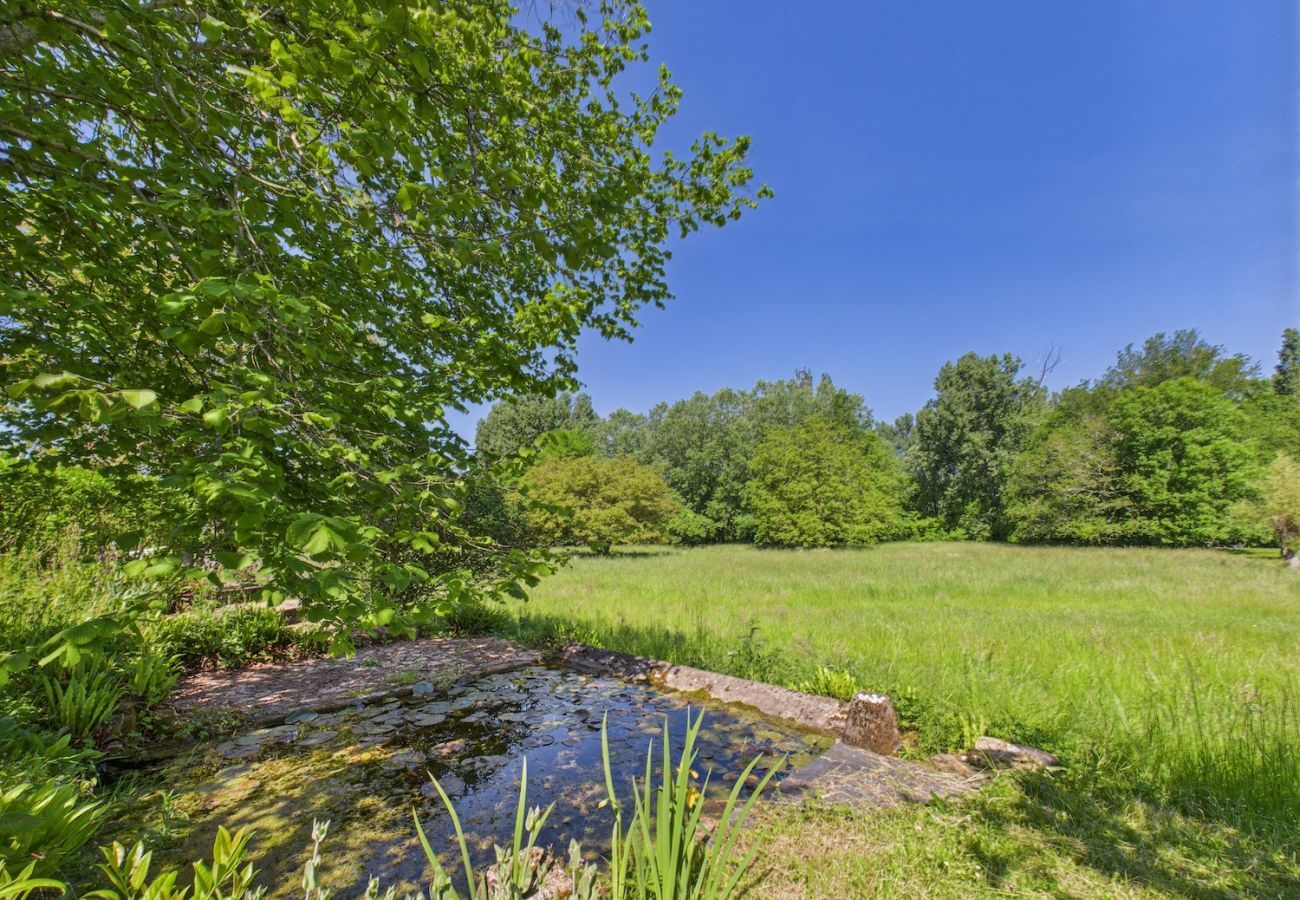 Maison à Montignac - Gîte mitoyen, 4 adultes 1 enfant, piscine commune