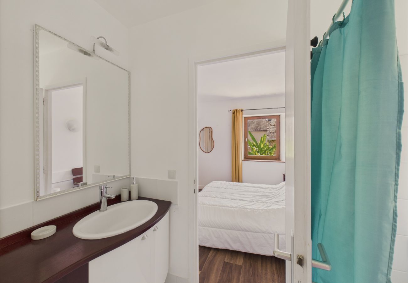 Maison à Peyzac-le-Moustier - Piscine privée - jolie maison 10 adultes 2 enfants