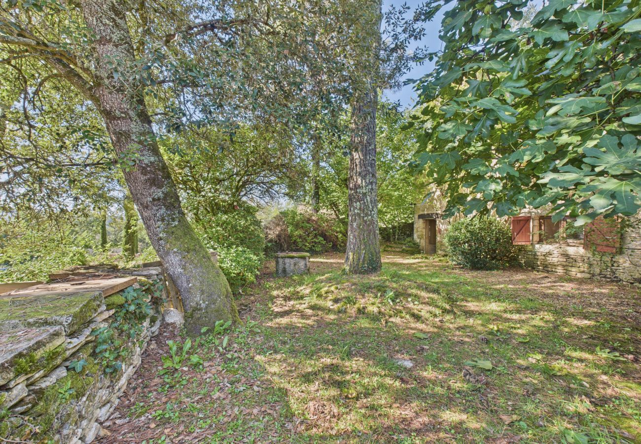 Maison à Saint-Léon-sur-Vézère - Jolie maison avec piscine et jardin au calme 