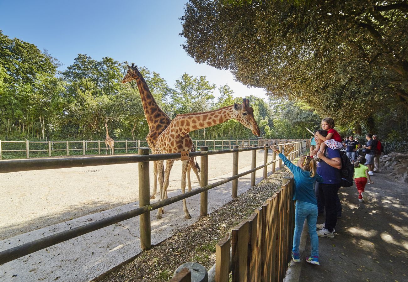 Appartement à Les Sables-d´Olonne - Appartement vue mer à 900m de la plage pour 3
