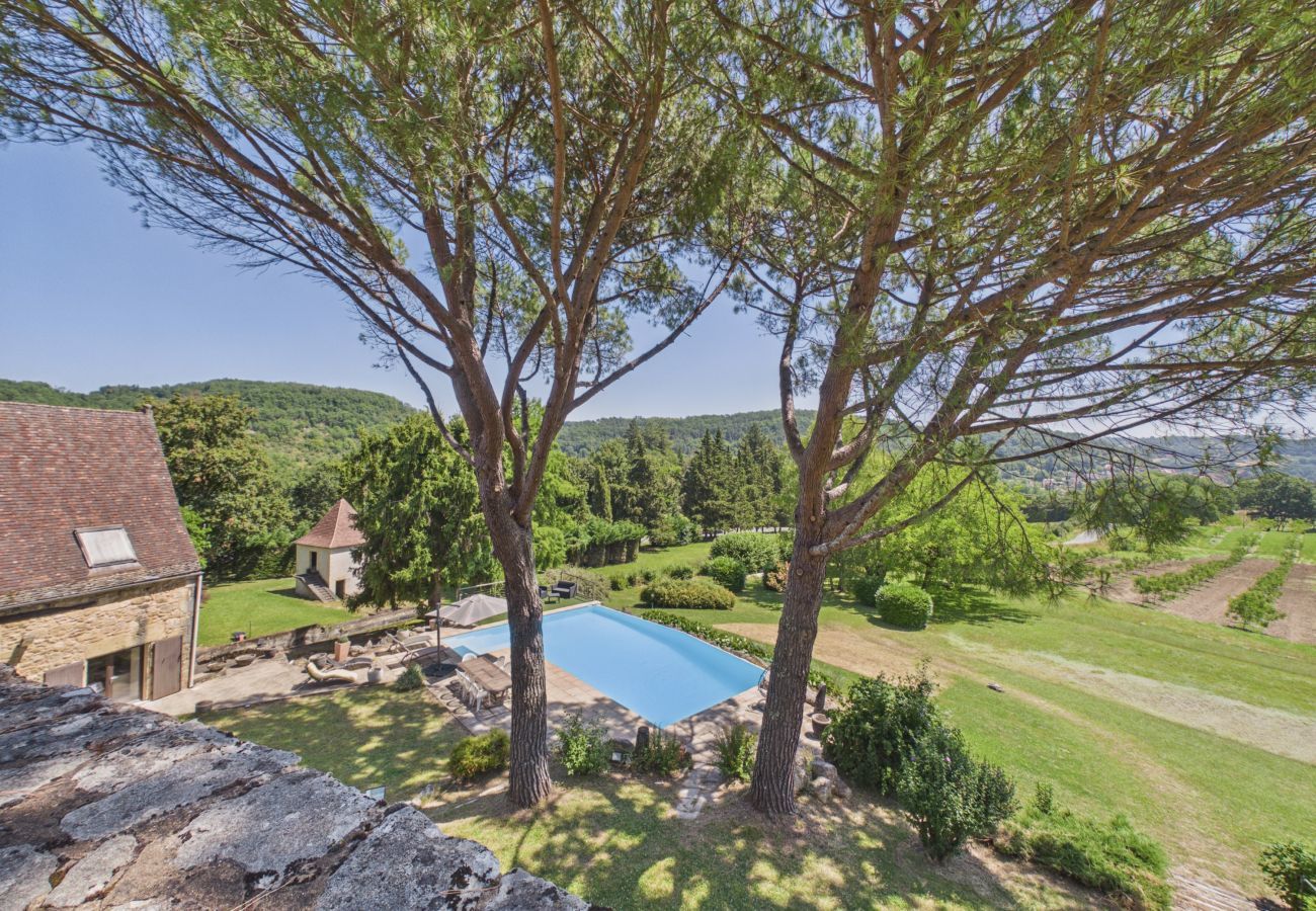 Maison à Saint-Cyprien - Superbe manoir du 16e siècle avec piscine pour 10