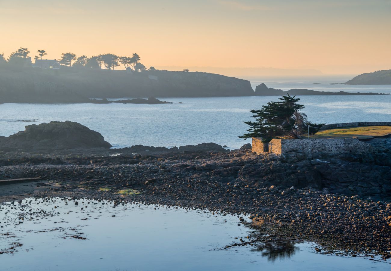Maison à Beaussais-Sur-Mer - Maison récente et cosy pour 6 avec jardin
