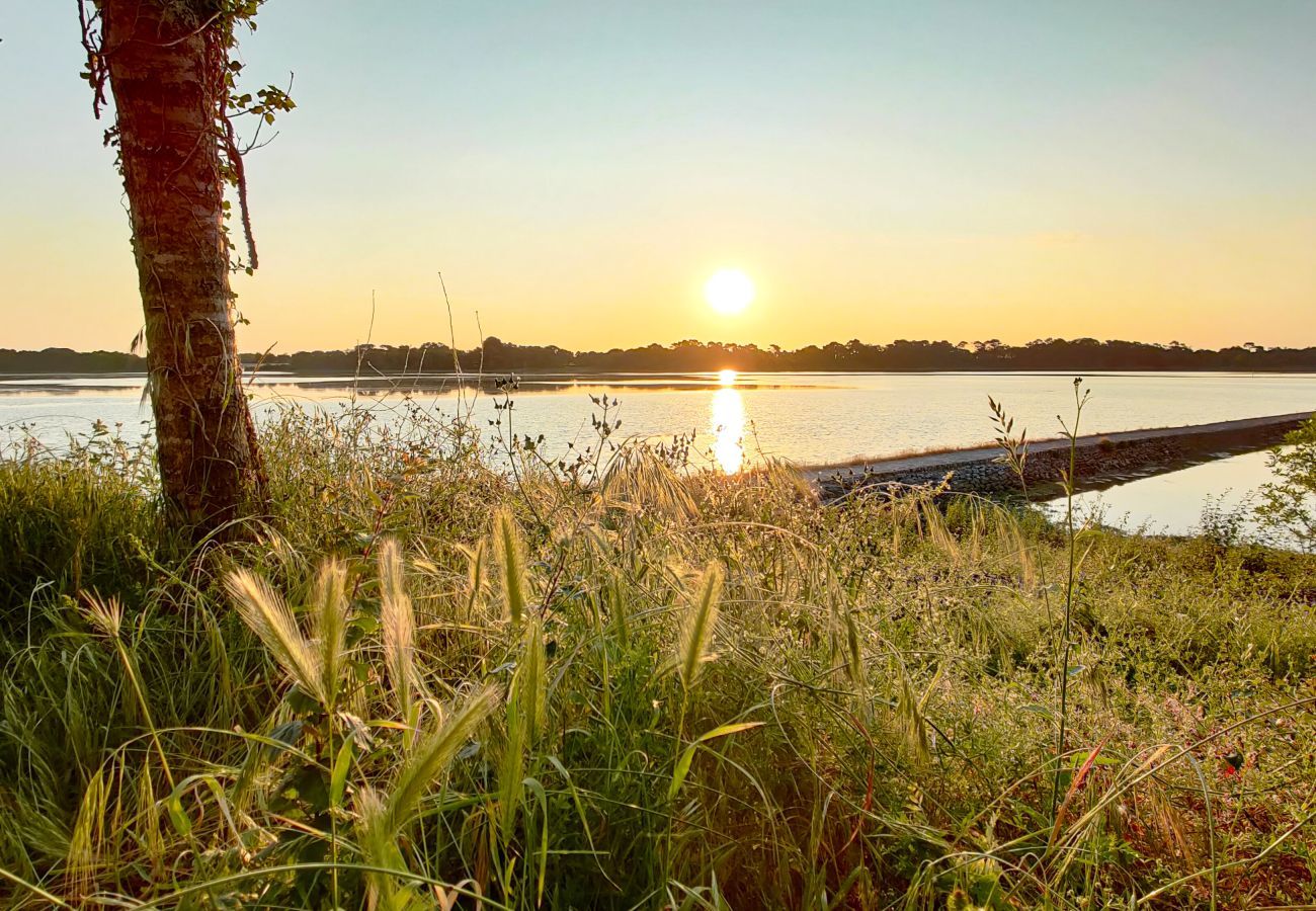 Maison à Plonéour-Lanvern - Maison neuve pour 6 avec jardin et terrasse 