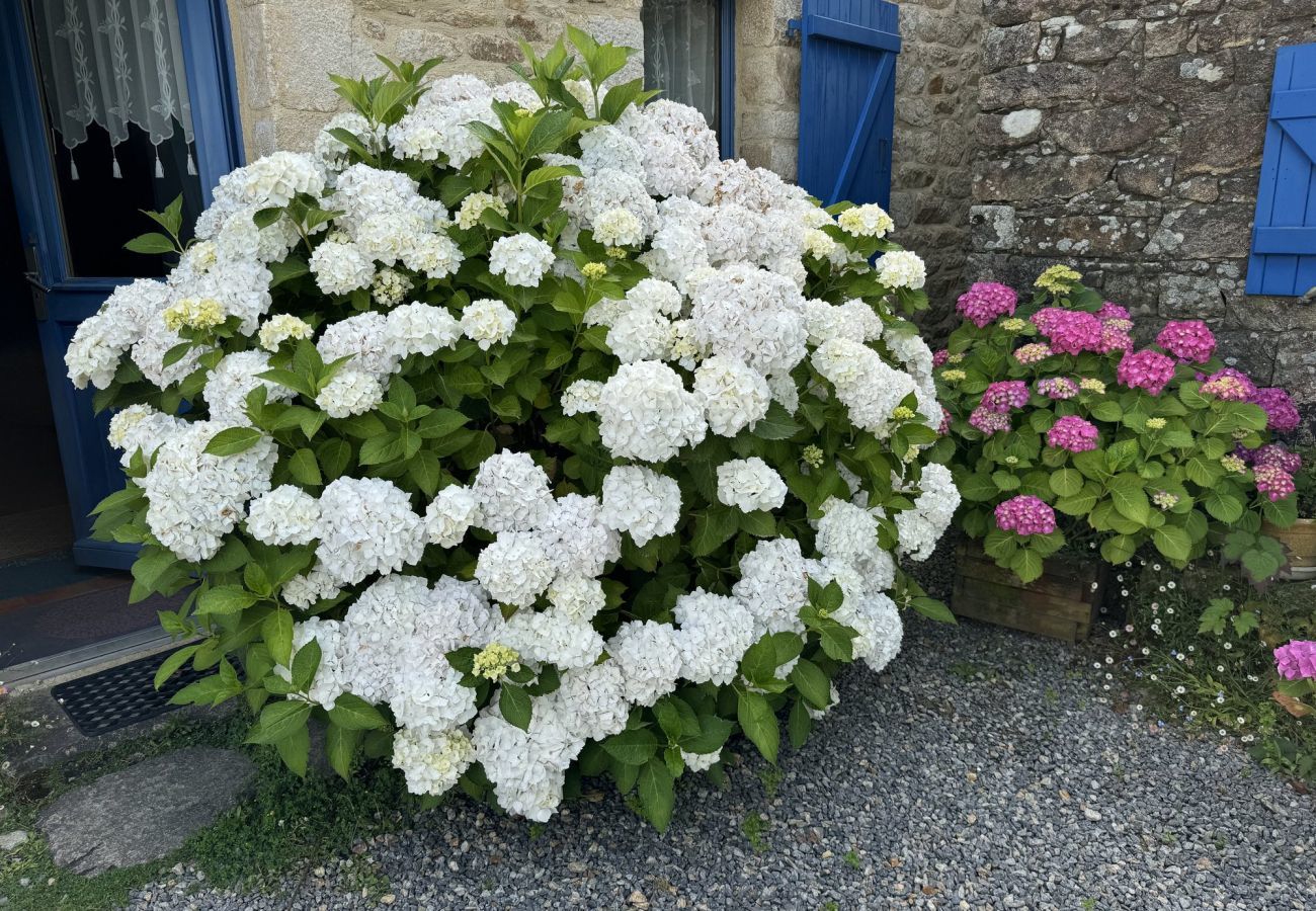 Maison à Sarzeau - Sarzeau - Maison familiale 6 pers avec jardin